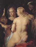 Peter Paul Rubens Venus at the Mirror (MK01) oil painting picture wholesale